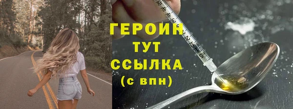 молекула духа Богородицк