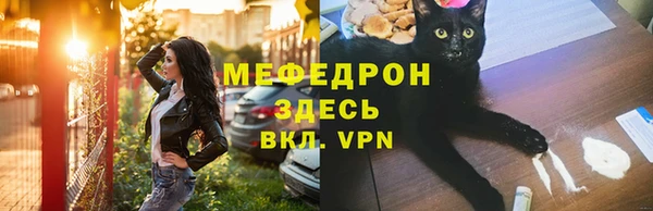 молекула духа Богородицк