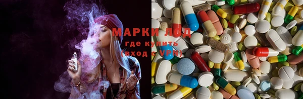 молекула духа Богородицк