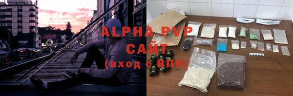 PSILOCYBIN Беломорск