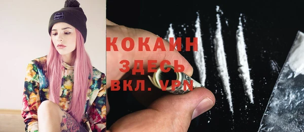 молекула духа Богородицк