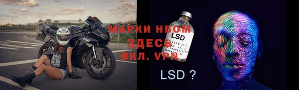 PSILOCYBIN Беломорск