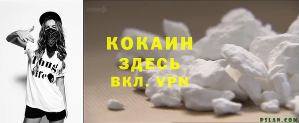 эйфоретик Богданович