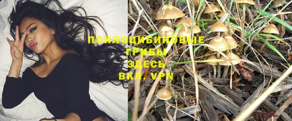 PSILOCYBIN Беломорск