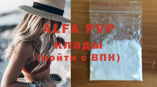 молекула духа Богородицк