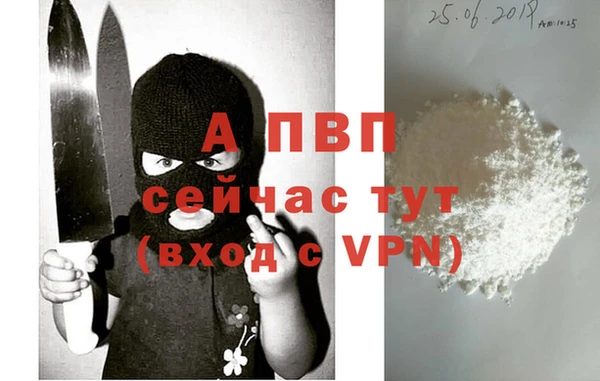 гидропоника Белокуриха